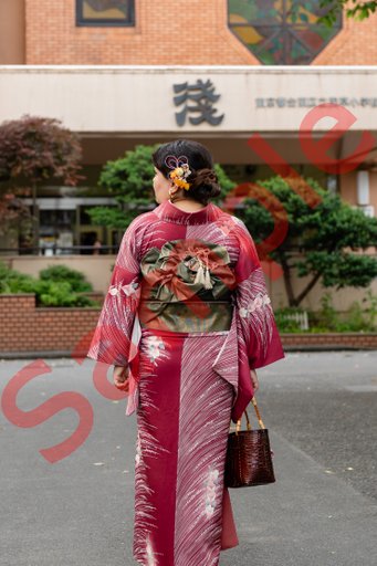 DSC07918.jpg