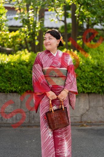 DSC08037.jpg