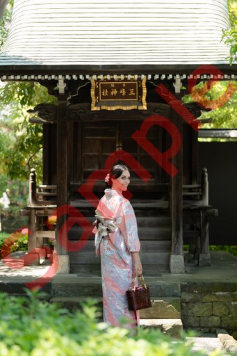 DSC08729.jpg