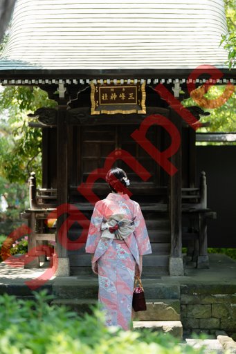 DSC08722.jpg