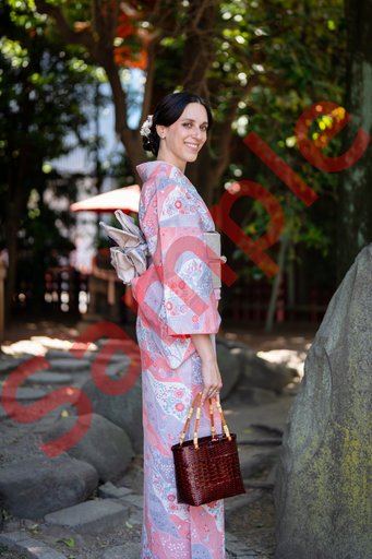 DSC08533.jpg
