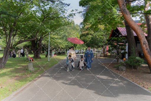 DSC07754.jpg