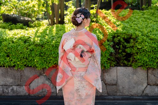 DSC02698.jpg