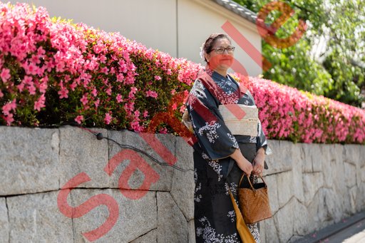 DSC07508.jpg