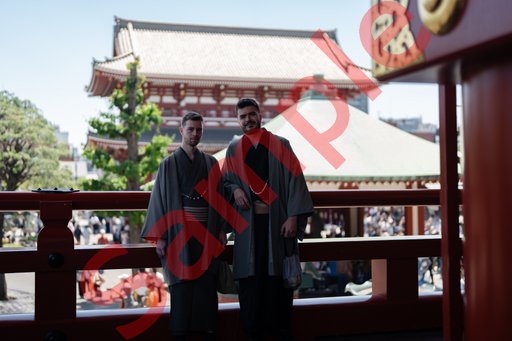 DSC08421.jpg