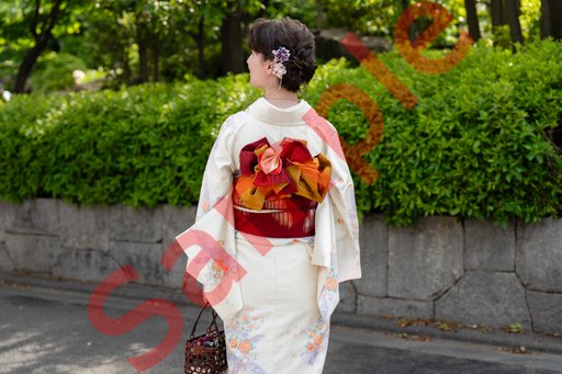 DSC07310.jpg