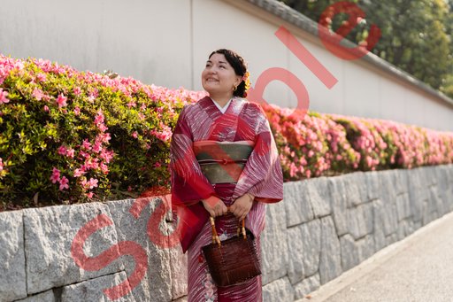 DSC08066.jpg