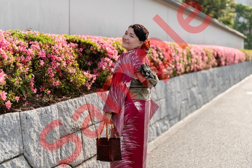 DSC08122.jpg