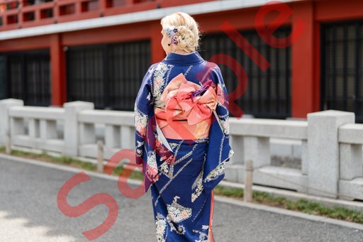 DSC08858.jpg