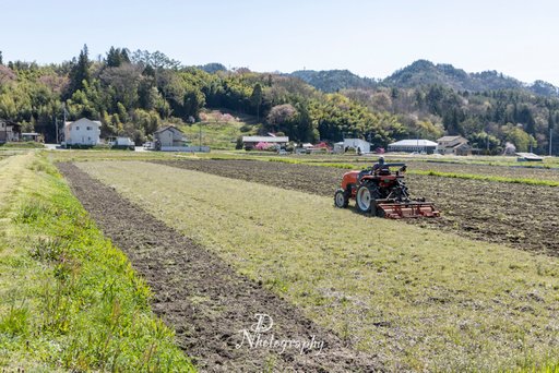 2.田起こし.jpg