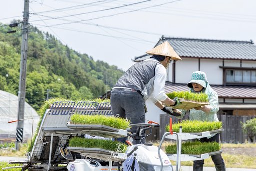 10.田植え.jpg