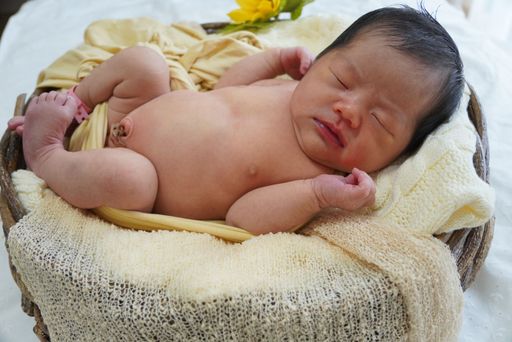 image_6483441 (3).JPG