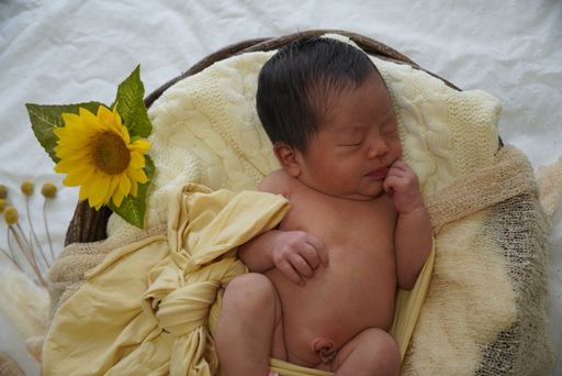 image_6483441 (5).JPG